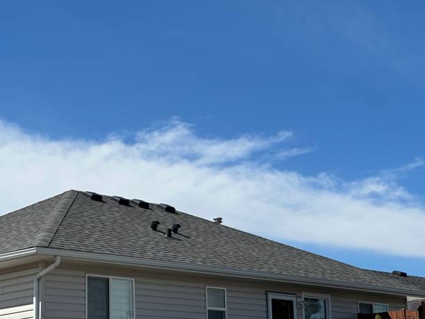 Best Roof Moss and Algae Removal  in Chino, CA